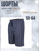 Шорты мужские с карманами и шнурком, Клетка